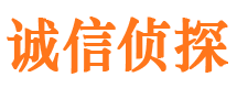 瑞安寻人公司